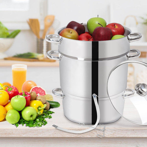 Fruit 2025 juicer steamer